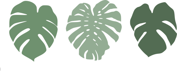 Free SVG Files for Cricut | Free Monstera Leaf SVG File